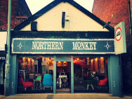 Northern Monkey